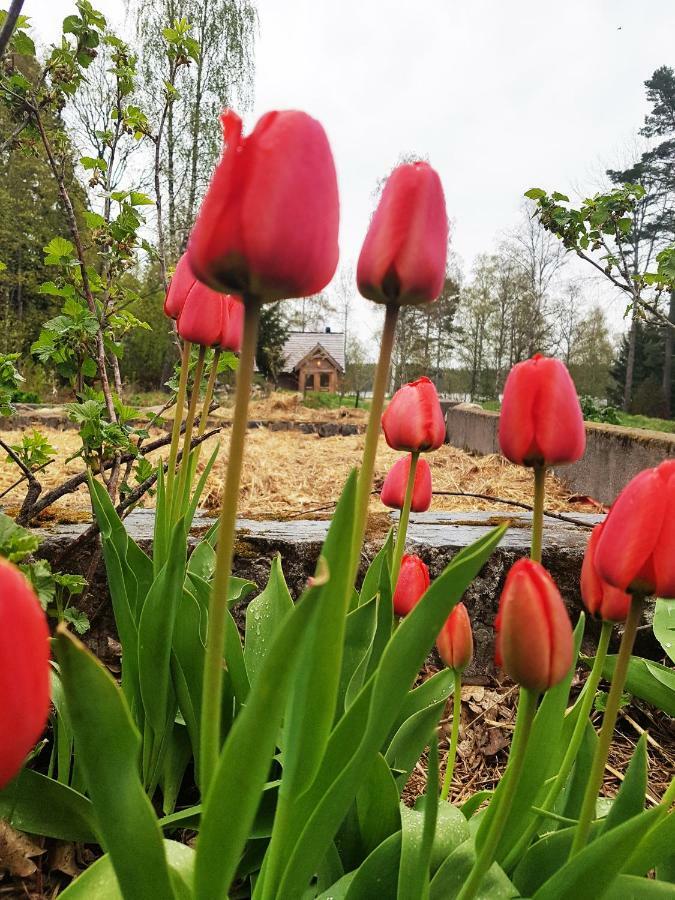 Garpenbergs B&B, Bnb Kültér fotó